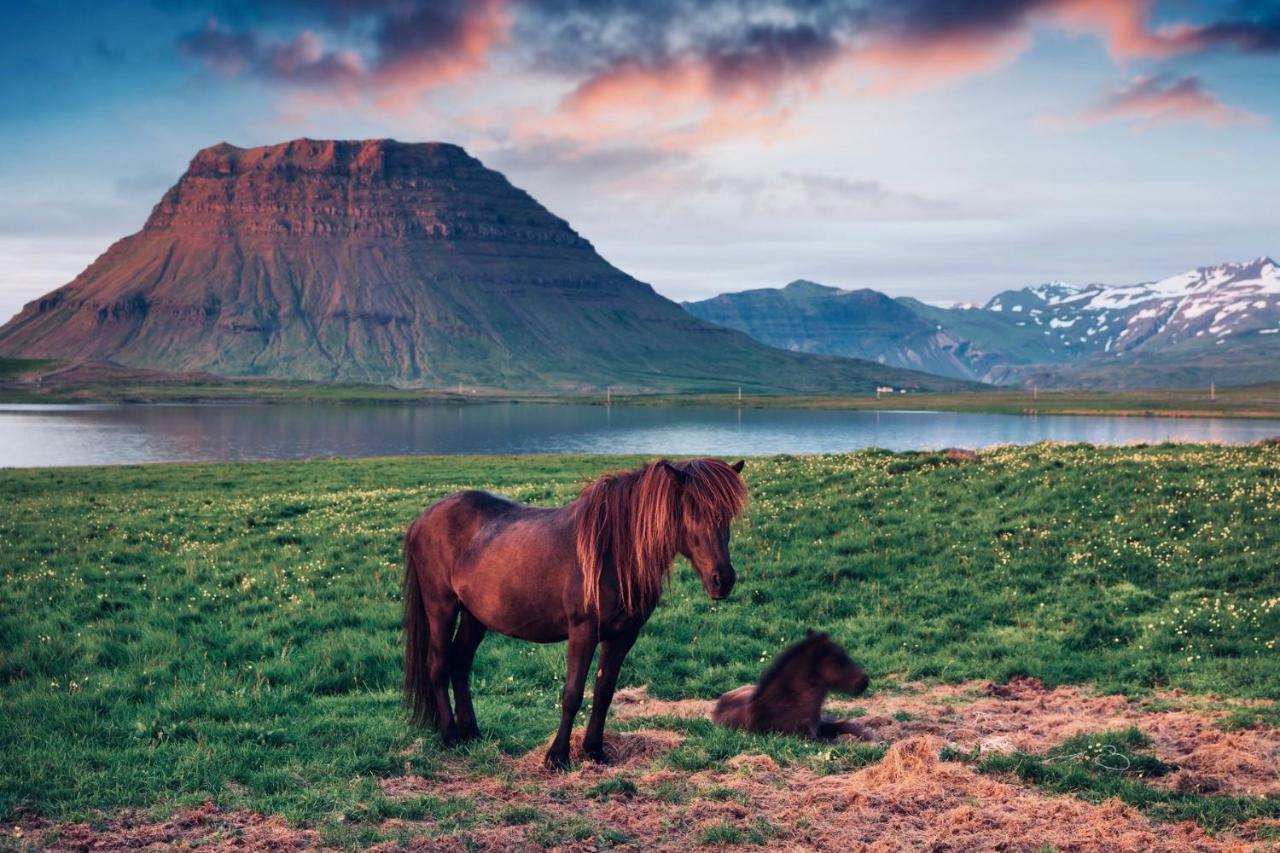 Experience Beautiful Iceland Ólafsvík المظهر الخارجي الصورة