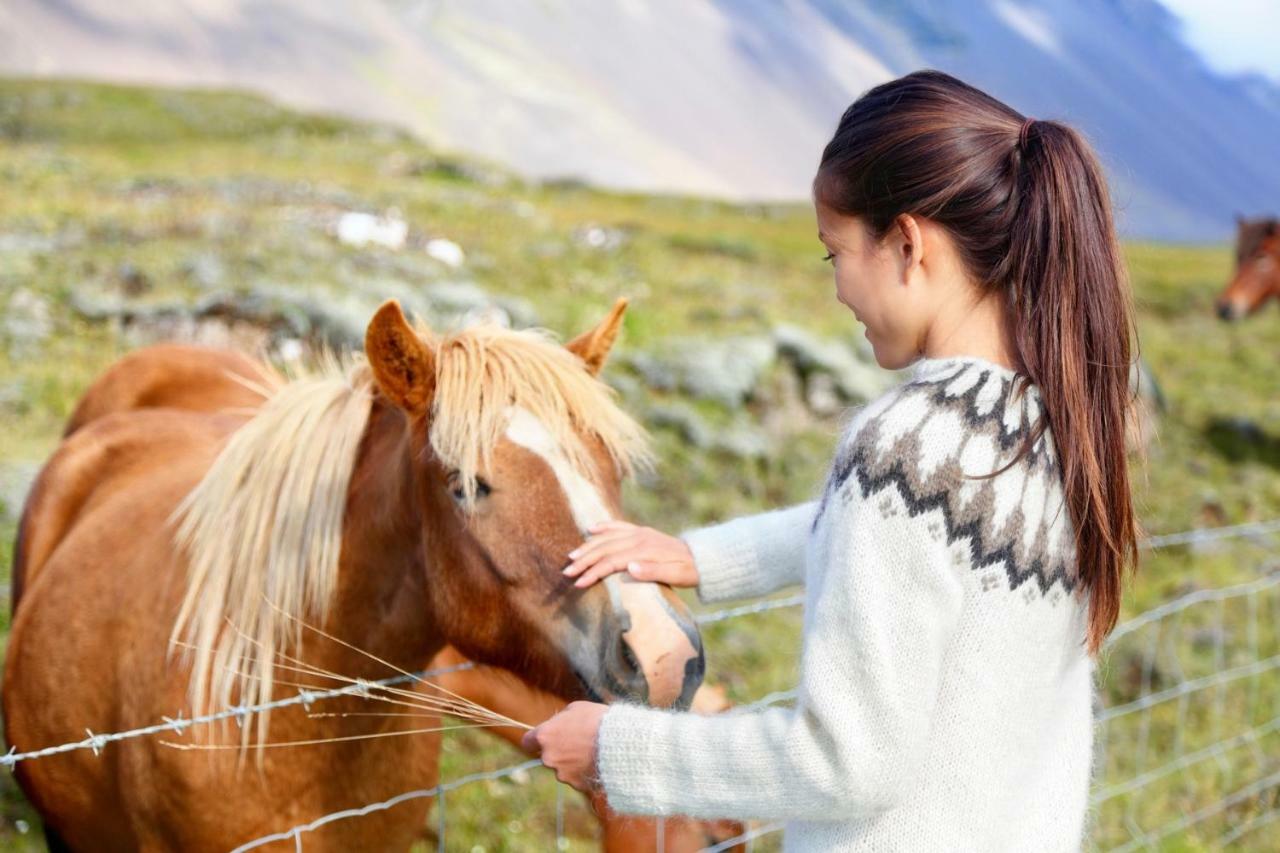 Experience Beautiful Iceland Ólafsvík المظهر الخارجي الصورة