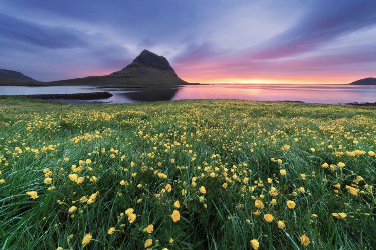 Experience Beautiful Iceland Ólafsvík المظهر الخارجي الصورة